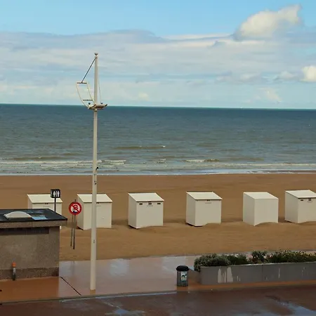 Duinroos C2 Koksijde