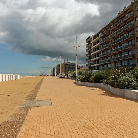 Duinroos C2 Koksijde