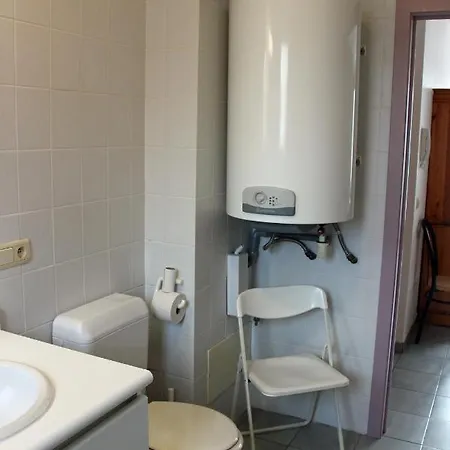 Duinroos C2 Koksijde