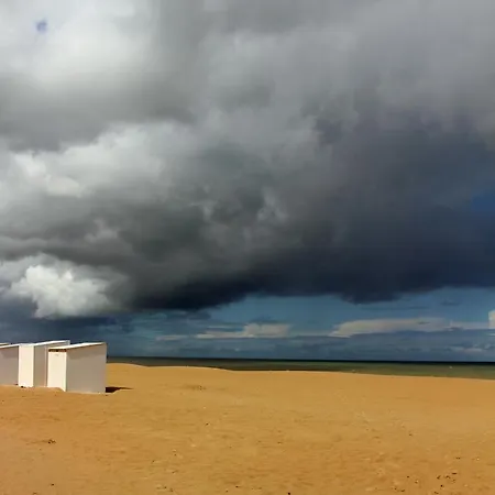 Duinroos C2 * كوكسيجدي