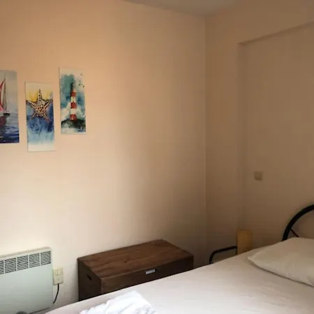 Duinroos C2 * كوكسيجدي