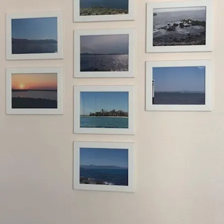 شقة Duinroos C2 كوكسيجدي